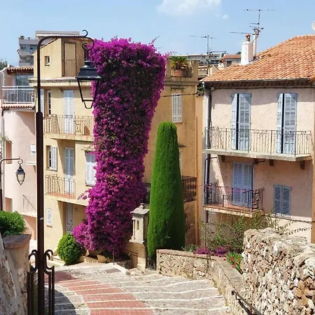 Apartment Hyper Centre - Plages Et Palais 5min A Pied Cannes